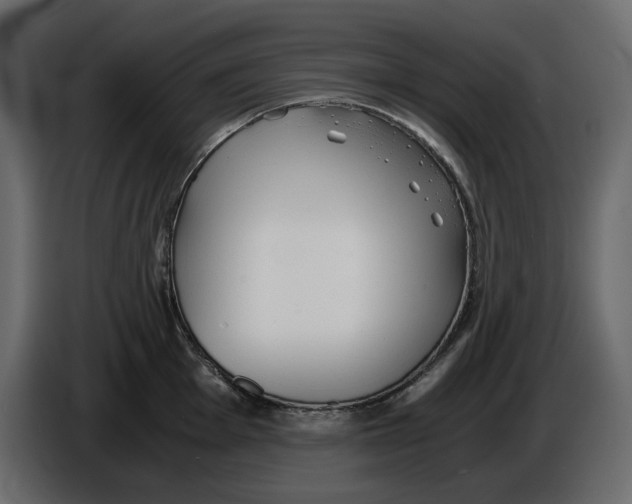 X0000084551001200703231732