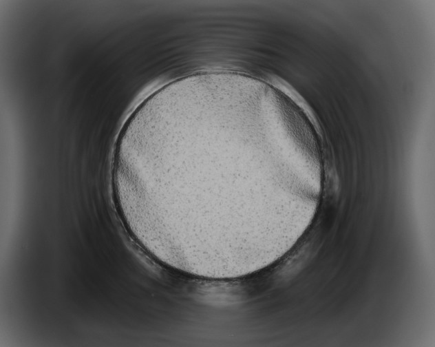 X0000084551002200703231732