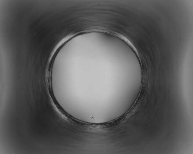 X0000084551003200703231732