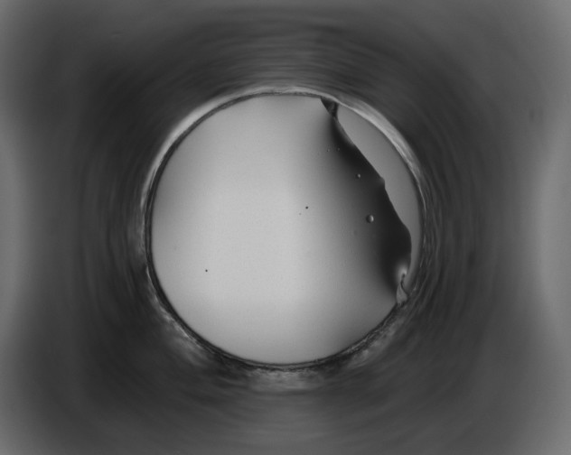 X0000084551004200703231732