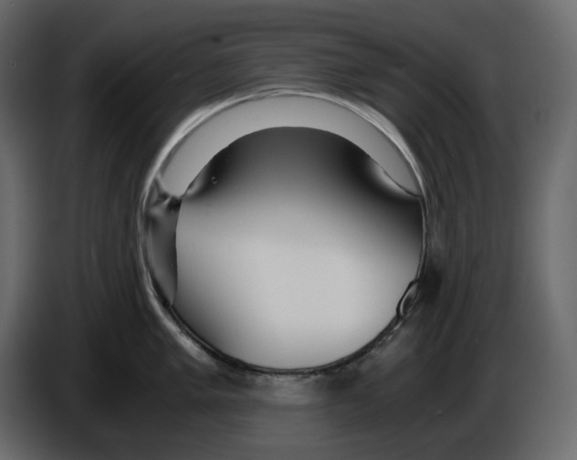 X0000084551005200703231732