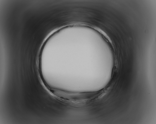 X0000084551007200703231732