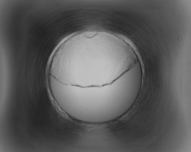 X0000084551008200703231732