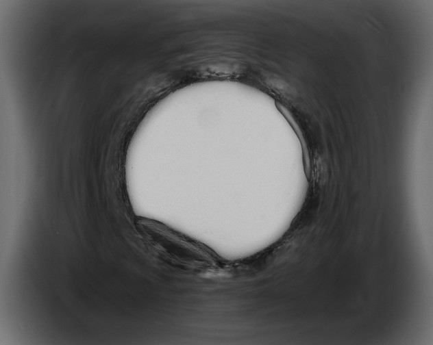 X0000084551009200703231731