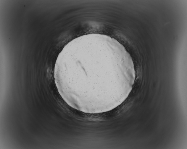 X0000084551011200703231731