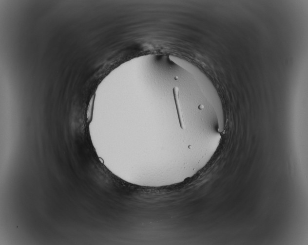 X0000084551012200703231731