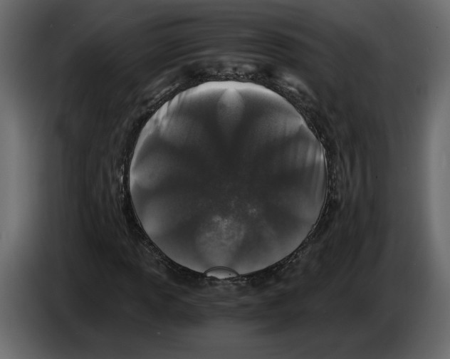 X0000084551013200703231731