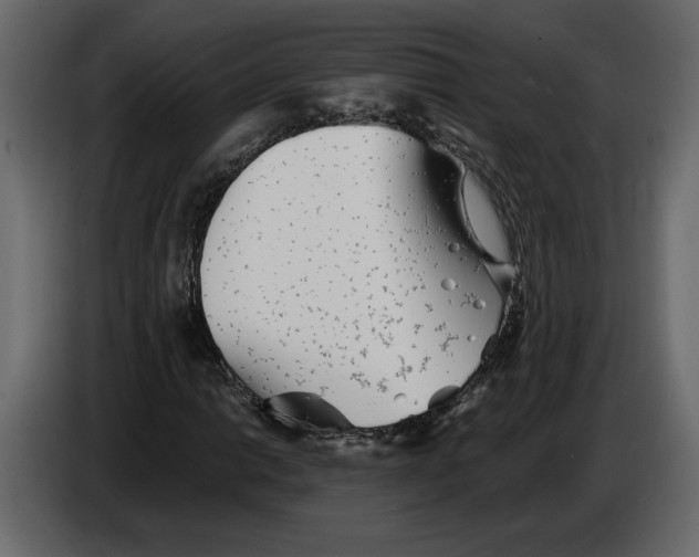 X0000084551014200703231731