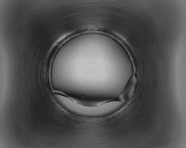 X0000084551018200703231732