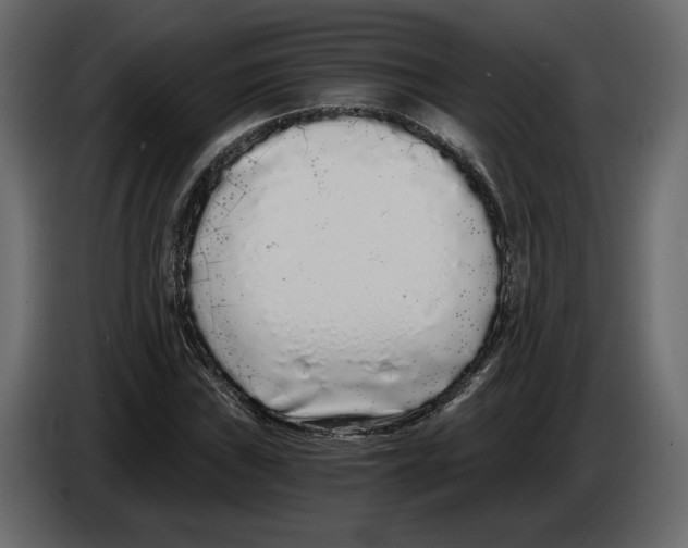 X0000084551019200703231732