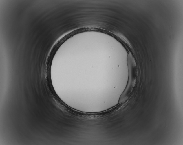 X0000084551020200703231732