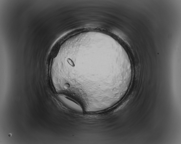 X0000084551021200703231732