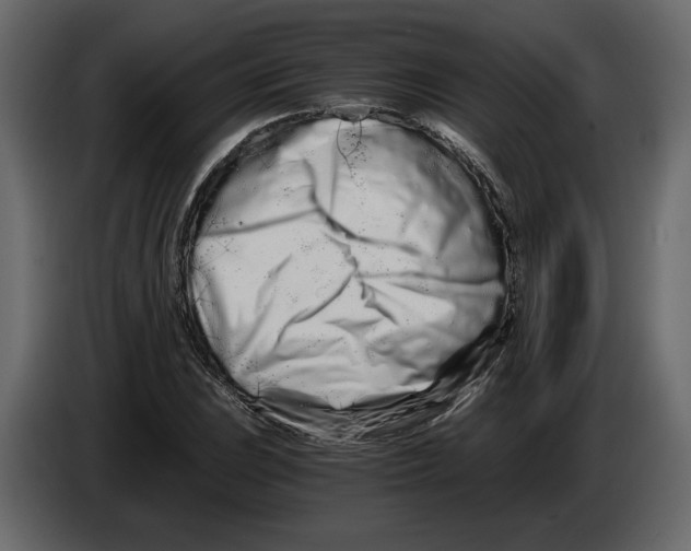 X0000084551023200703231732