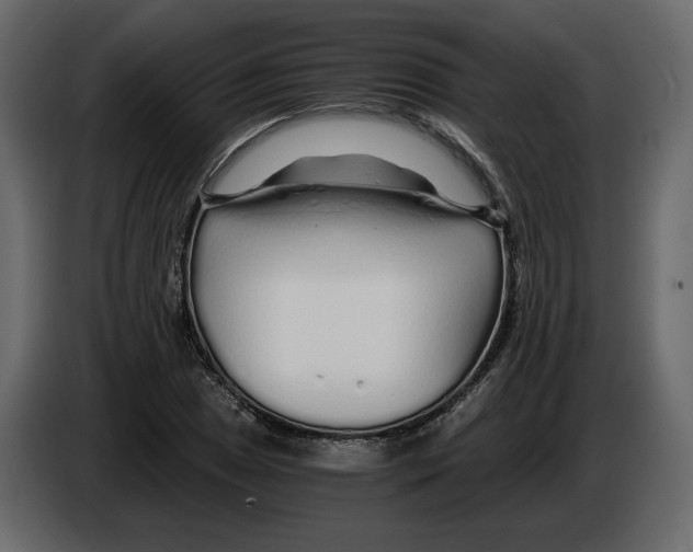 X0000084551025200703231732