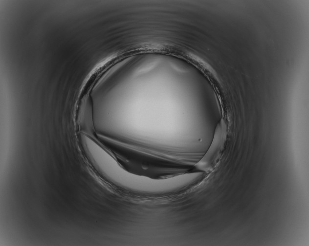 X0000084551026200703231732