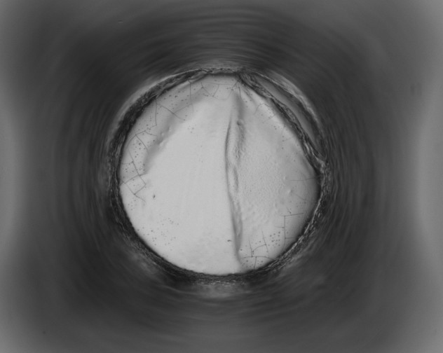 X0000084551027200703231732