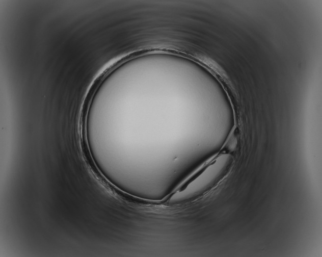 X0000084551028200703231732