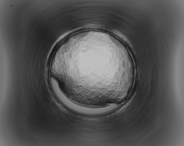 X0000084551029200703231732