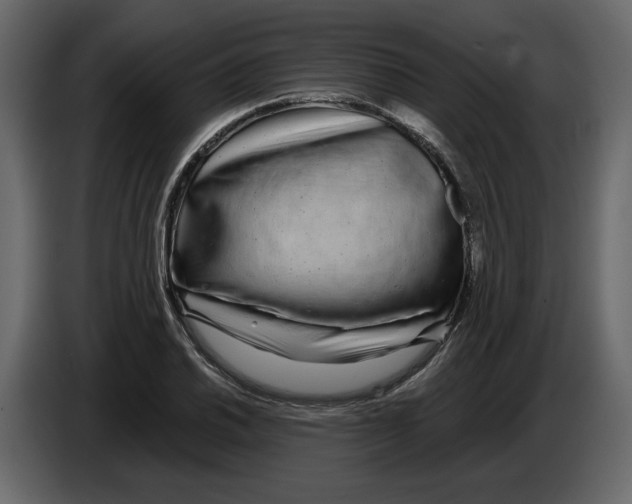 X0000084551030200703231732