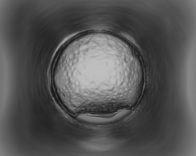 X0000084551032200703231732