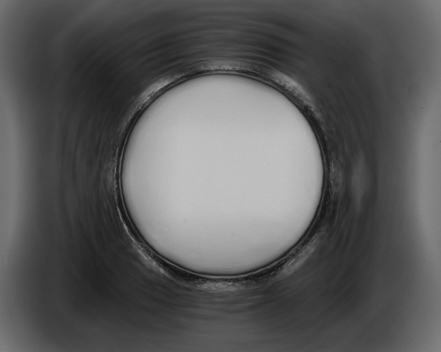 X0000084551033200703231732