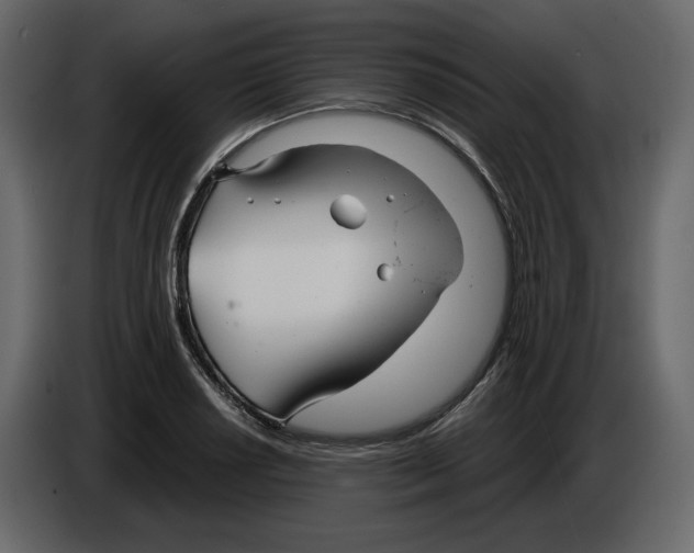 X0000084551034200703231732