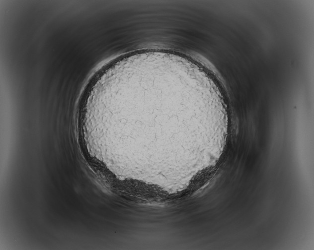 X0000084551035200703231732