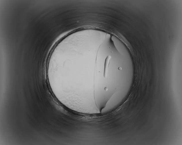 X0000084551036200703231732