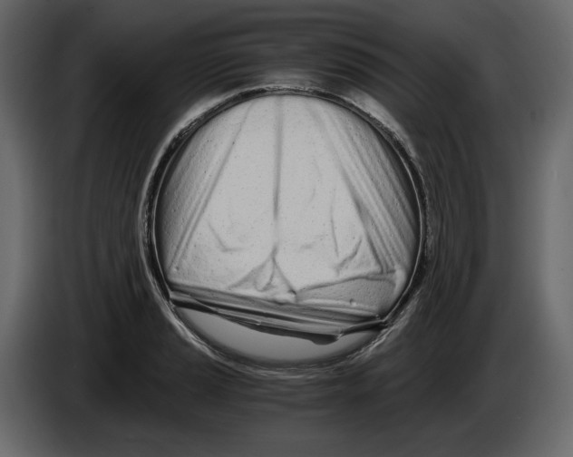 X0000084551037200703231732