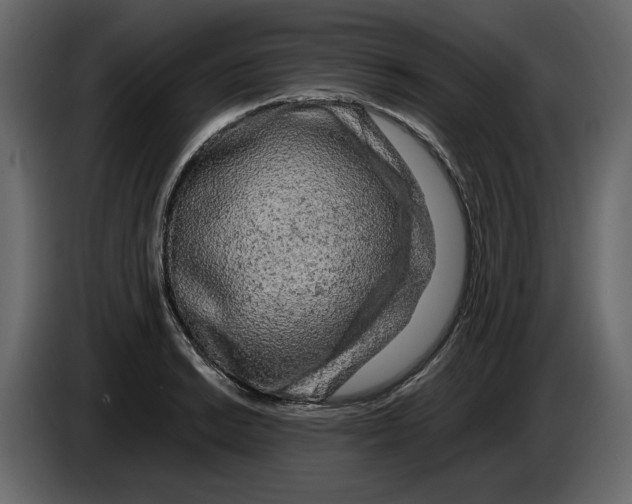 X0000084551038200703231732