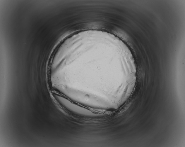 X0000084551039200703231732