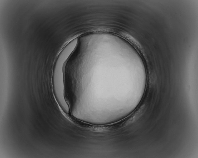 X0000084551041200703231732