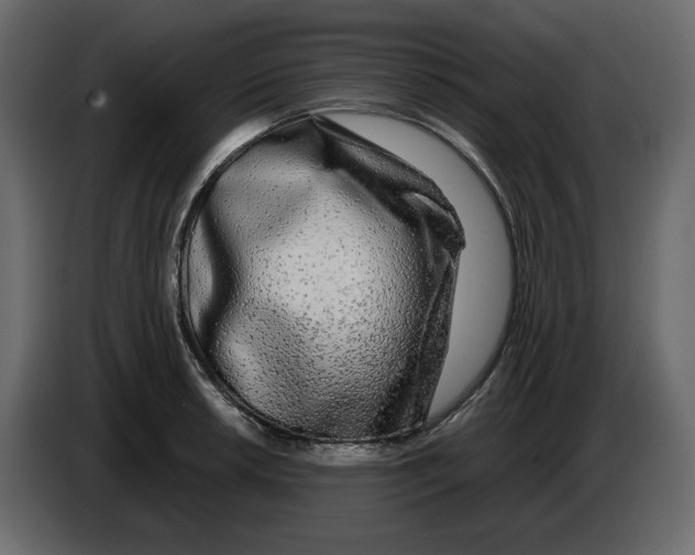 X0000084551042200703231732