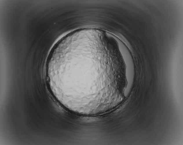 X0000084551044200703231732