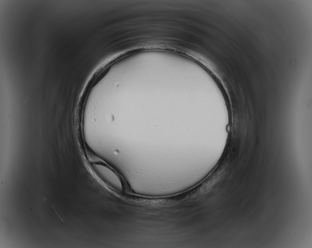 X0000084551045200703231732