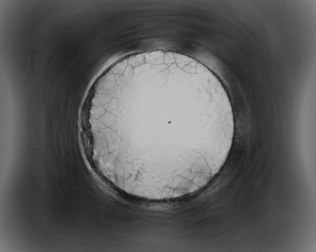 X0000084551047200703231732