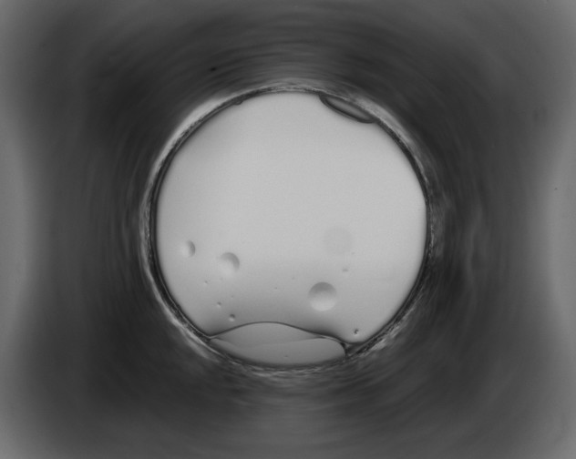 X0000084551048200703231732