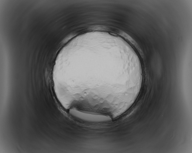 X0000084551049200703231732