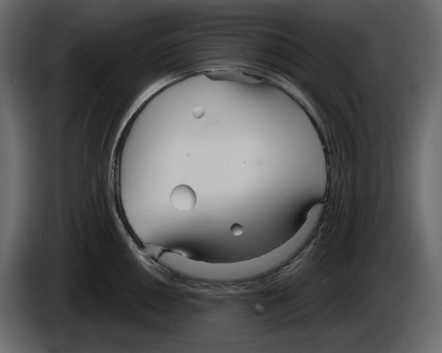 X0000084551050200703231732