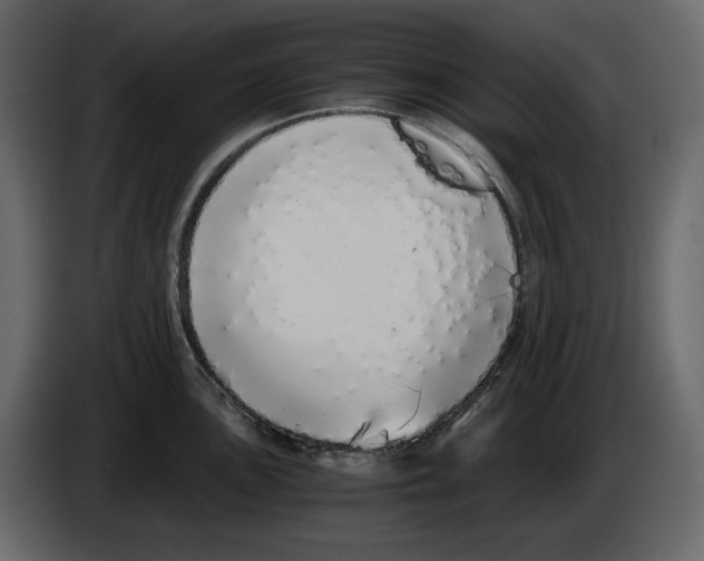 X0000084551051200703231732