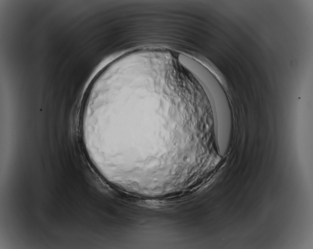 X0000084551052200703231732