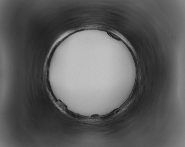 X0000084551053200703231732