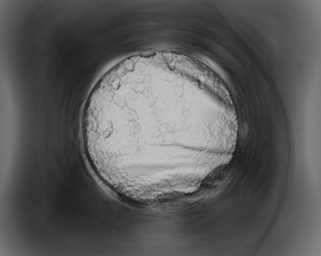 X0000084551055200703231732