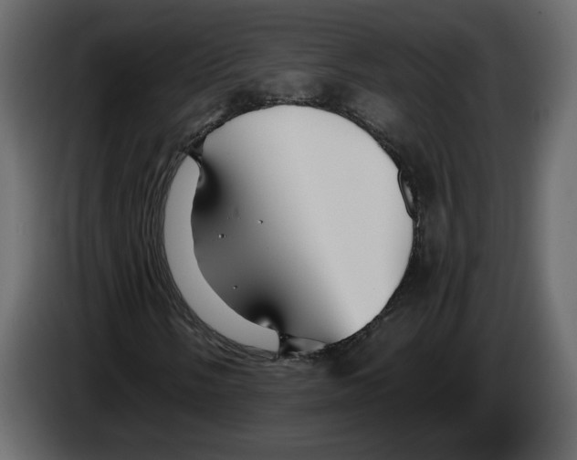 X0000084551058200703231731