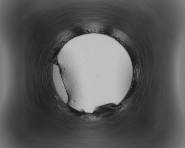 X0000084551060200703231731