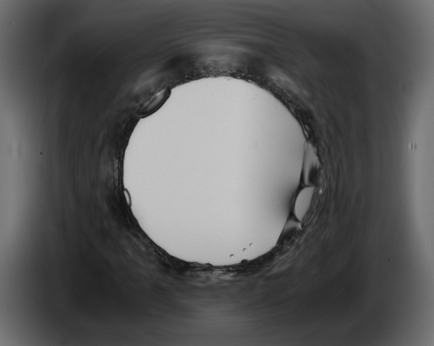 X0000084551061200703231731