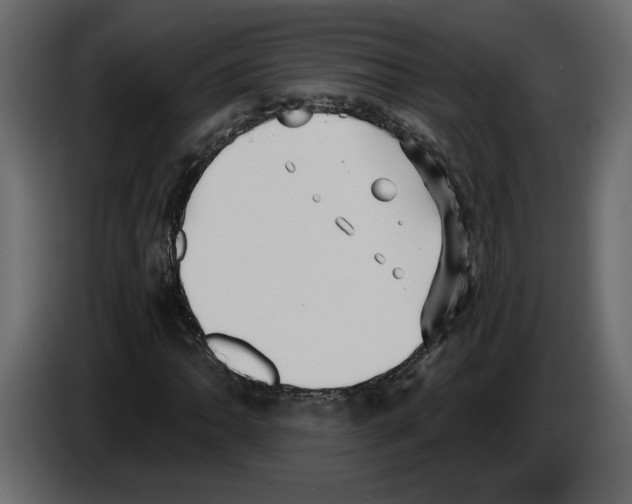 X0000084551062200703231731