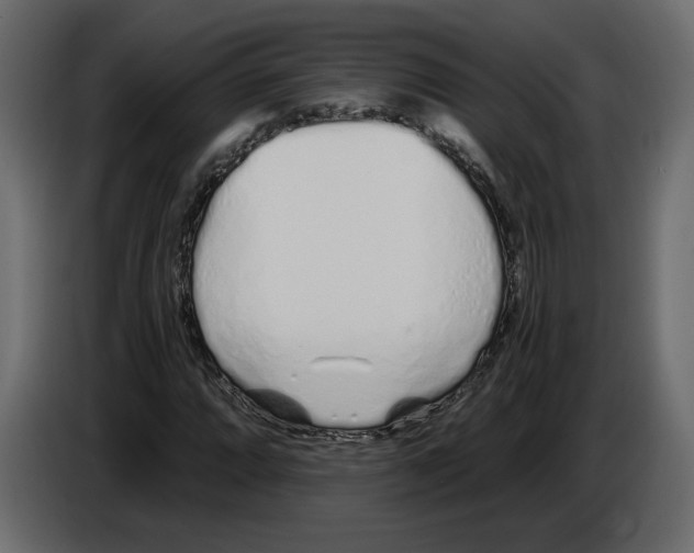 X0000084551064200703231731