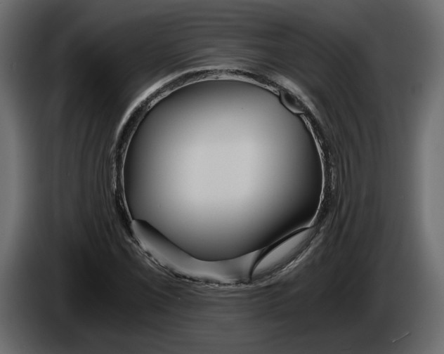 X0000084551069200703231731