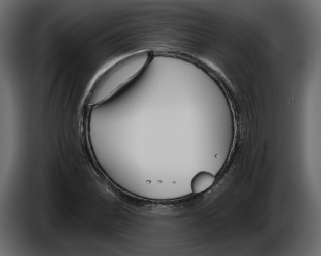 X0000084551070200703231731